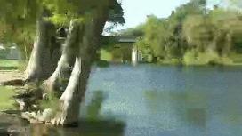 Kerrville Fights Bird Droppings in Guadalupe River | exTRA by the Trinity River Authority of Texas | Scoop.it