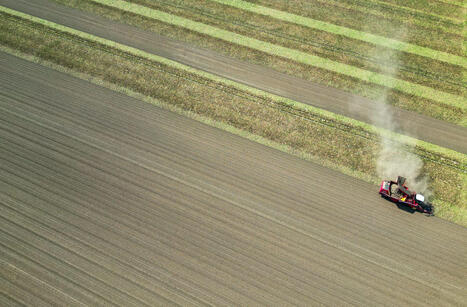 ENVIRONMENT: Drought fears for grains growing season mount in Central Europe | DURABILITES | Scoop.it