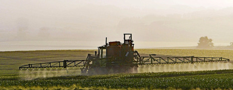 Principaux résidus et contaminants de la chaîne alimentaire | Alimentation Santé Environnement | Scoop.it