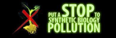 Uproar in the USA: Do glowing house plants, glowing animals take gene tinkering too far? | BIODIVERSITY IS LIFE  – | Scoop.it