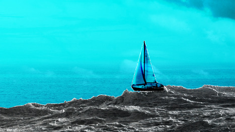 STRATEGIES: navigating transatlantic relations under Trump 2.0 | STRATEGIES | Scoop.it