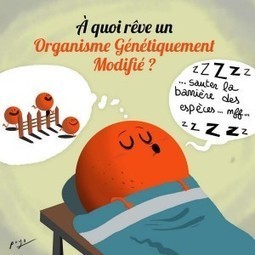[À écouter] Les OGM | EntomoScience | Scoop.it