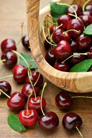 Les vergers expérimentaux, terreau de nouveaux fruits | Pour innover en agriculture | Scoop.it