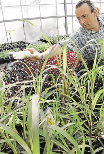 Biocontr&ocirc;le : la fili&egrave;re vise 20.000 emplois dans les quatre ans | Pour innover en agriculture | Scoop.it
