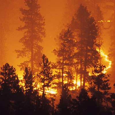 Feux de forêt : émissions, chimie, contamination, climat et santé humaine | ACS | Prévention du risque chimique | Scoop.it