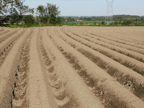 Gestion globale des eaux pluviales en milieu rural : la concertation à Erchin fait figure d’exemple | Regards croisés sur la transition écologique | Scoop.it
