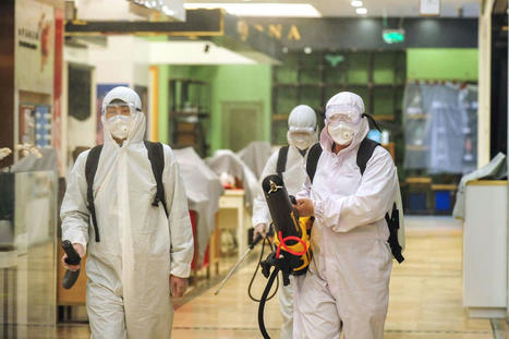 Covid-19 : le FBI estime que la pandémie a « très probablement » été provoquée par une fuite de laboratoire à Wuhan | EntomoNews | Scoop.it