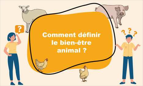 Comment définir le bien-être animal ? | Actualité Bétail | Scoop.it