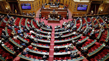 Le S&eacute;nat adopte une version durcie du projet de loi &laquo;&nbsp;pour le plein-emploi&nbsp;&raquo; | Strat&eacute;gie pauvret&eacute; et pacte des solidarit&eacute;s | Scoop.it