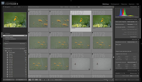 La gestion de ses photos | Le photographe numérique | Scoop.it