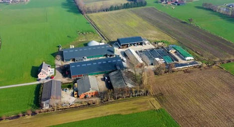 Reportage &agrave; la Ferme Van Parys (Belgique) : tout automatiser pour se concentrer sur l'essentiel&nbsp;: les vaches - Agri mutuel | Pour innover en agriculture | Scoop.it