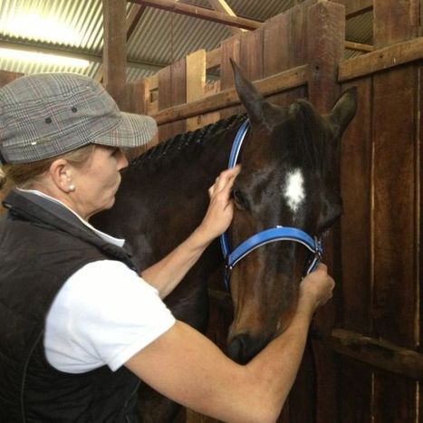 Relaxing Mr Ed - ABC Online | Stress Management | Scoop.it