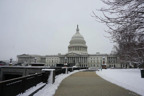 Funding Freeze Impacts: Farmers and Organizations Speak Out - National Sustainable Agriculture Coalition | Operation Deimos | Scoop.it