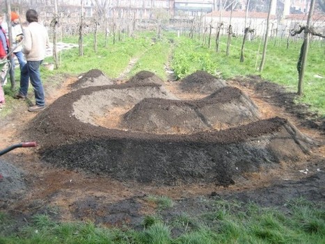 Come preparare un bancale per l'orto sinergico | Orto, Giardino, Frutteto, Piante Innovative e Antiche Varietà | Scoop.it