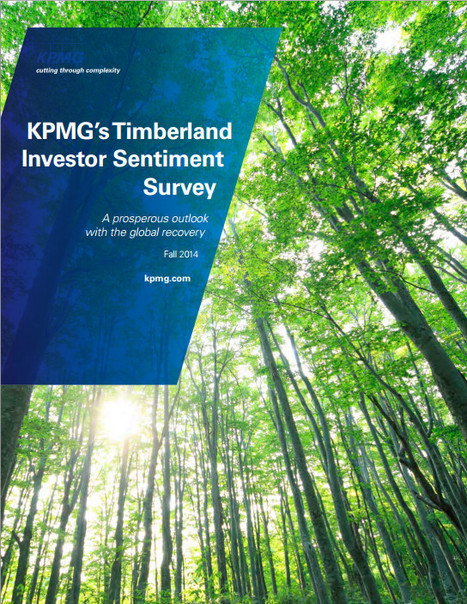 2014 KPMG Timberland Investor Survey | Timberland Investment | Scoop.it