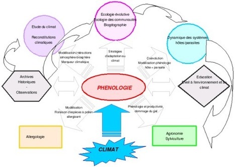 Système d'Information Phénologique pour la Gestion et l'Etude des Changements Climatiques | Insect Archive | Scoop.it