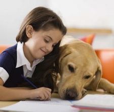 How to Teach Children About Empathy to Animals | Teaching Empathy | Scoop.it