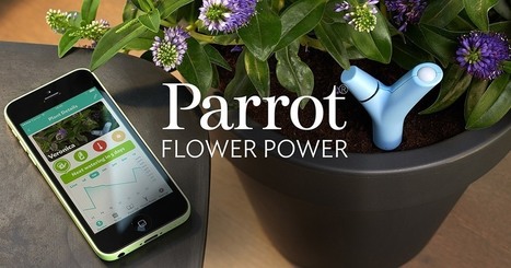 Parrot In Domotique Et Maison Connectée Scoopit