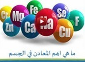 (AR)-(EN) - Altibbi Arabic Medical Dictionary | Glossarissimo! | Scoop.it