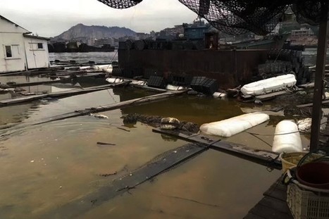 Seven Arrested in Fujian Chemical Spill - Caixin Global / 15.11.2018 | Pollution accidentelle des eaux par produits chimiques | Scoop.it
