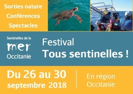 Festival "Tous Sentinelles !" : découvrir la biodiversité marine et littorale en Occitanie | Participation citoyenne | Scoop.it
