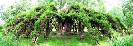 Sanfte Structuren: “Mother of all willow palaces” | Art Installations, Sculpture, Contemporary Art | Scoop.it