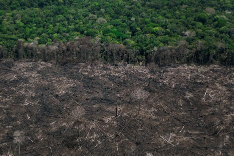 A soberania nacional se decide na amaz&ocirc;nia - 01/07/2026 - Maria Herm&iacute;nia Tavares - Folha | Inova&ccedil;&atilde;o Educacional | Scoop.it