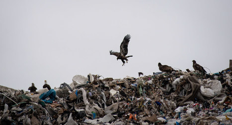 Maine's landfill is meant for in-state waste. How Massachusetts and NH are filling it up. | Industry 411 - Waste Management | Scoop.it