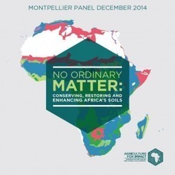 No ordinary matter: Conserving, restoring and enhancing Africa's soils | Conservation Agriculture Research Updates - April 2026 | Scoop.it