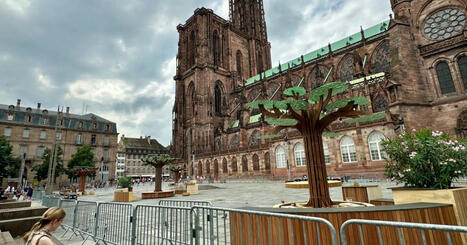 Strasbourg. La (mini-)forêt immersive va s’animer dès samedi, au pied de la cathédrale | Strasbourg Eurométropole Actu | Scoop.it