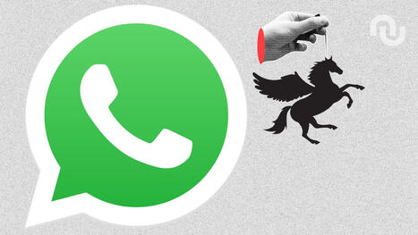 Pegasus n'aura plus le droit de vous espionner… si vous êtes sur WhatsApp ...