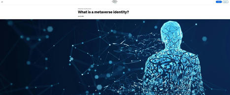 What is a "Metaverse Identity"? according to World Economic Forum | HMD hot spot | Scoop.it