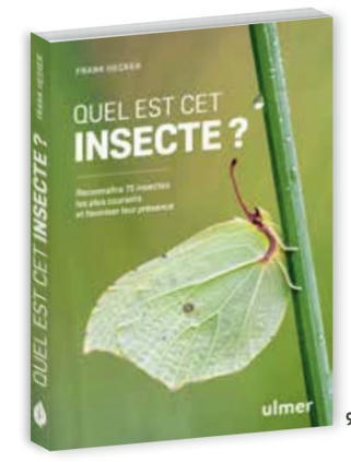 Frank Hecker : Quel est cet insecte ? | Variétés entomologiques | Scoop.it