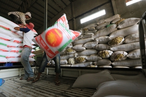 Concerns over rice stockpile release by Thailand | ASIES | Scoop.it