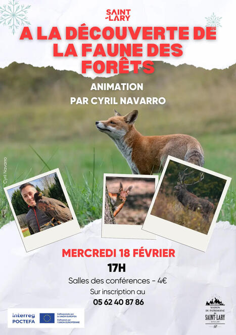 Conf&eacute;rence sur la faune sauvage par Cyril Navarro &agrave; Saint-Lary-Soulan le 18 f&eacute;vrier | Vall&eacute;es d'Aure & Louron - Pyr&eacute;n&eacute;es | Scoop.it
