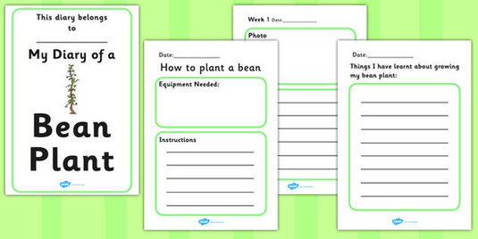 My Diary of a Bean Plant Booklet Template | Des...