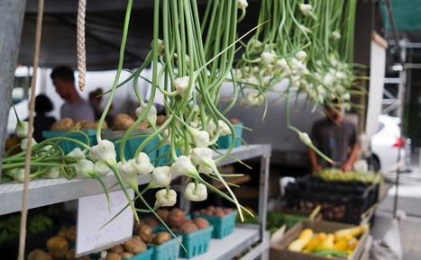 Stamping Out Farmers Market Fraud - Modern Farmer | Backstabber Watch | Scoop.it