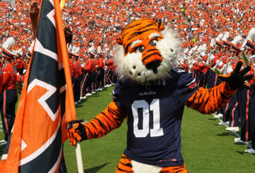 Baby Named After Aubie the Tiger – | Name News | Scoop.it