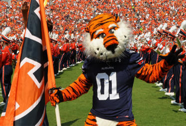 Baby Named After Aubie the Tiger &ndash; | Name News | Scoop.it