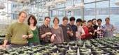 Studying the importance of biological rhythms for the ecological performance of plants | Science News | Scoop.it