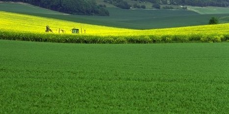 Biocontr&ocirc;le, biostimulants : l'agriculture version 21&egrave; si&egrave;cle est arriv&eacute;e ! | INNOVATIONS | Scoop.it