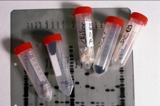 [LDH-Toulon] la justice simplifie le fichage g&eacute;n&eacute;tique | Chronique des Droits de l'Homme | Scoop.it