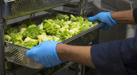 FranceRelance : lancement des mesures pour favoriser une alimentation locale et durable dans les cantines scolaires des petites communes | Ministère de l'Agriculture et de l'Alimentation | L'actu au service du développement territorial | Scoop.it