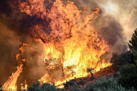 L&rsquo;&eacute;t&eacute;&nbsp;2023, le plus chaud jamais mesur&eacute;, marqu&eacute; par une litanie d&rsquo;&eacute;v&eacute;nements climatiques extr&ecirc;mes | Actualit&eacute;s Top | Scoop.it