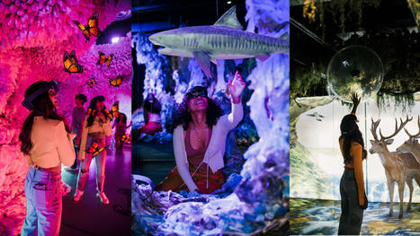 This Environmental Art Exhibit Is Powered By Mixed Reality | Imagine Online International Education | Scoop.it