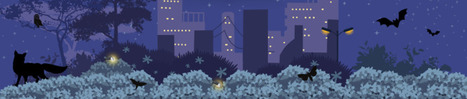 How can you protect nature if you ignore the night? | David Smith | Notebook or My Personal Learning Network | Scoop.it