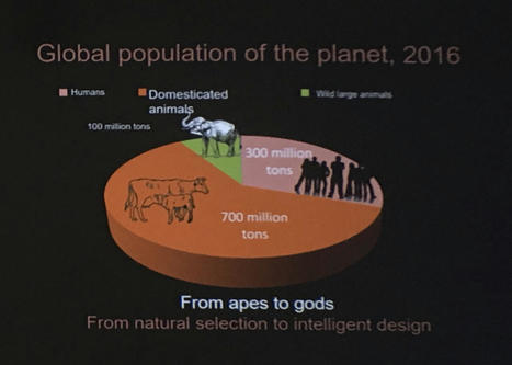 Mankind "weighs" 300 Million Tons and Produced so far 1.1 "Anthropogenic" Teratons | cross pond high tech | Scoop.it