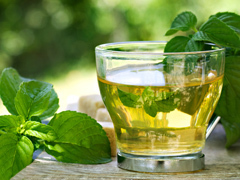 La menthe, une plante aromatique magique | Santé par les plantes | Scoop.it