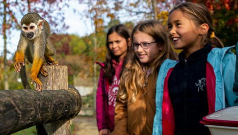 Planète Sauvage, près de Nantes, invite les jeunes à devenir "Apprenti soigneur" | (Macro)Tendances Tourisme & Travel | Scoop.it