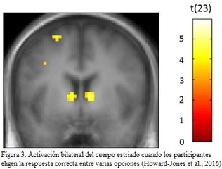 Gamificación desde la neuroeducación.  | Apprenance transmédia § Formations | Scoop.it